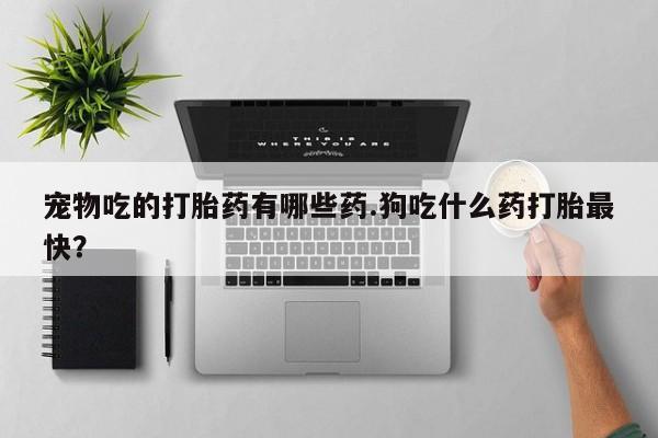 堕胎药网上可以购买吗宠物吃的打胎药有哪些药.狗吃什么药打胎最快？